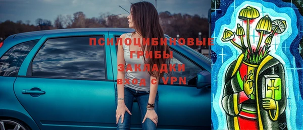 бошки Алексин