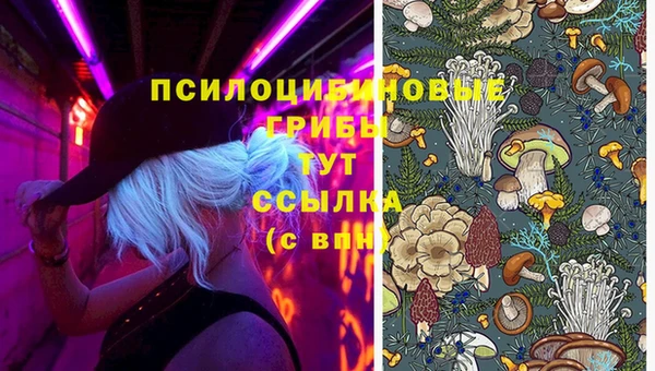 бошки Алексин