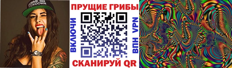 Галлюциногенные грибы Psilocybine cubensis  Дятьково 